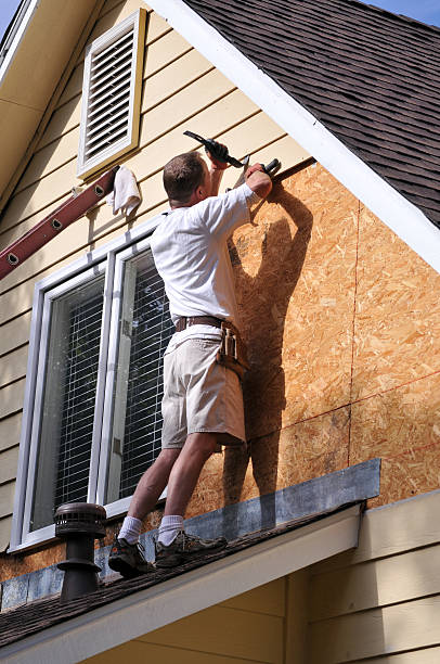 Best Historical Building Siding Restoration  in Long Branch, VA